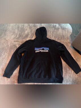 Patagonia Black Hoodie with Blue and Orange Mountain Logo